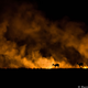 Illustration for article titled 13 Sensational Camera Trap Photos of African Animals At Night